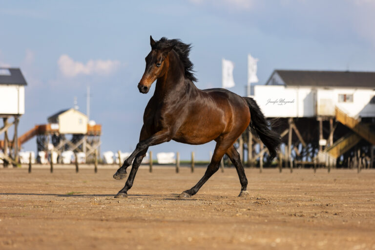 2024-06-1-Portfoliotag-SPO-Eckart-(37)-Web