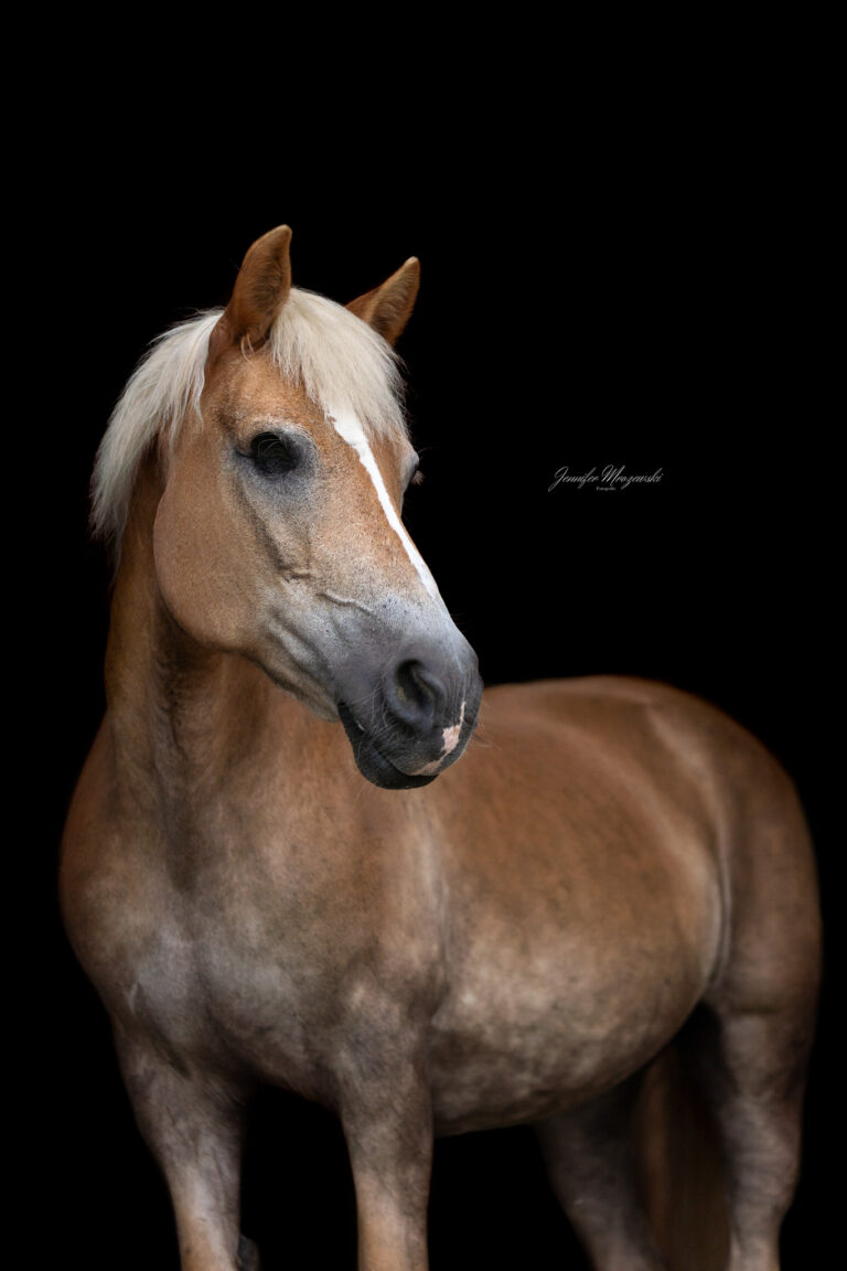 2024-07-15-Alia-Blattgold-(19)-Web