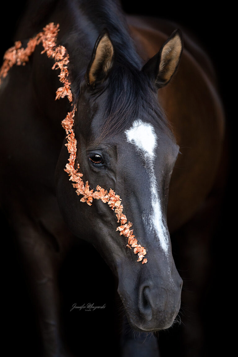 2024-07-15-Ruby-(39)-Web