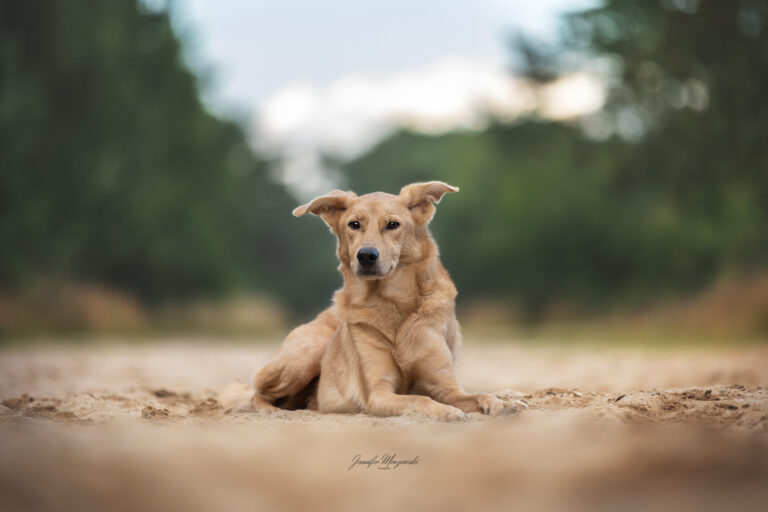 2024-08-05-Heide-Buddy-(23)-Web