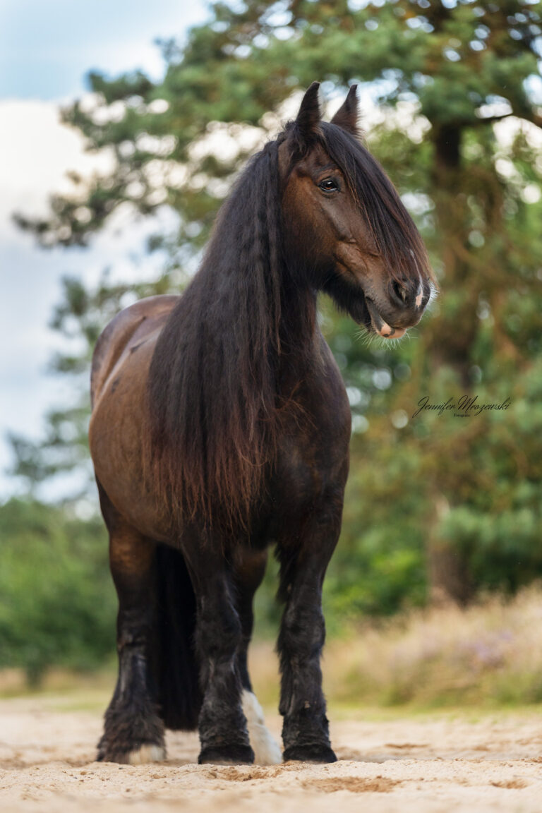 2024-08-05-Heide-Manni-(15)-Web