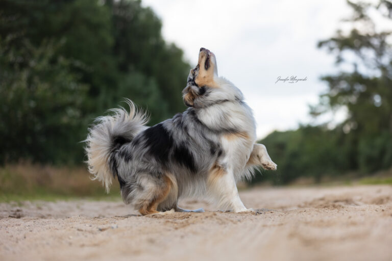 2024-08-05-Heide-Wilma-(35)-Web