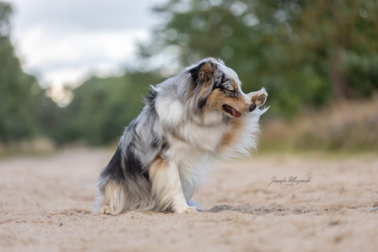 2024-08-05-Heide-Wilma-(40)-Web