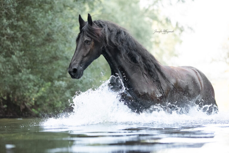 2024-09-06-Nero-Wasser-(108-2)-Web