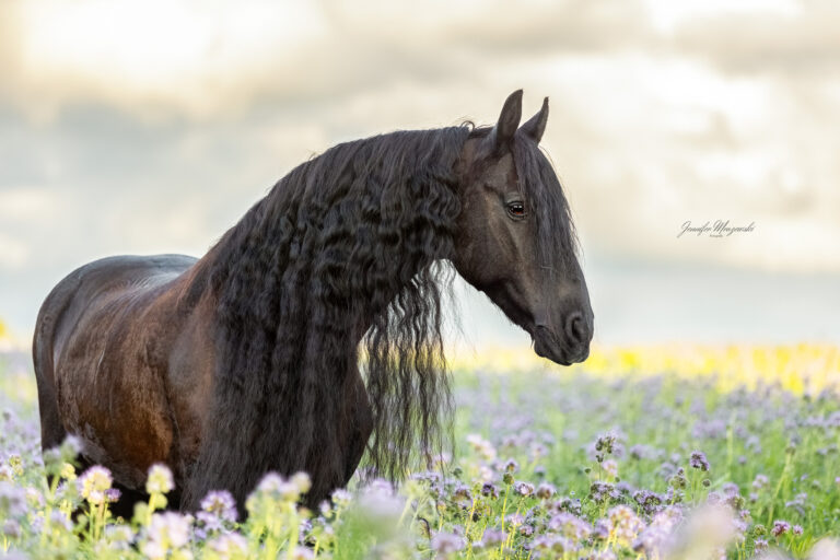 2024-09-11-Kani-Lahja-(55)-Web