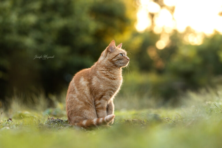 2024-09-18-Stintino-(114)-Web