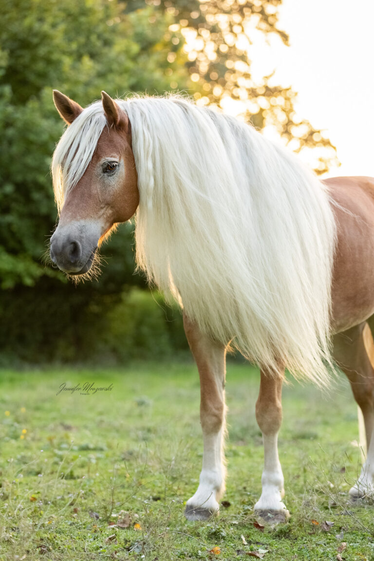 2024-09-18-Stintino-(117)-Web