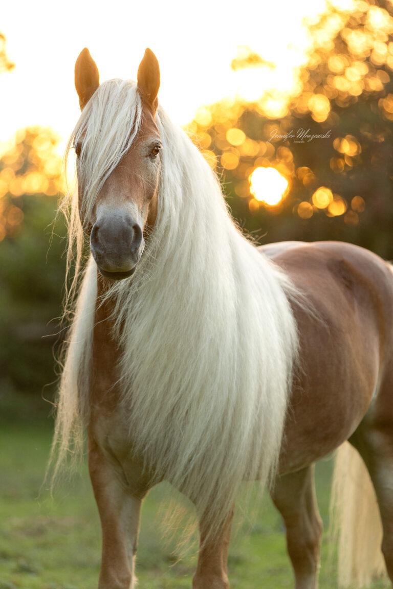 2024-09-18-Stintino-(128)-Web