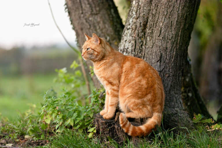 2024-09-18-Stintino-(166)-Web