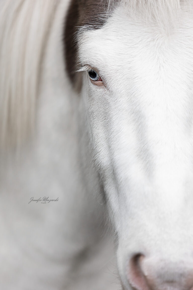 2024-10-06-Dyri-Kranz-(45)-Web