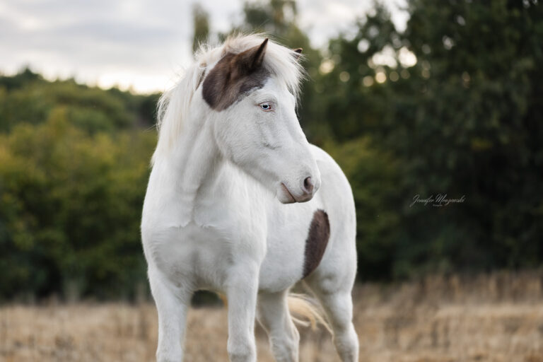 2024-10-06-Dyri-Kranz-(55)-Web