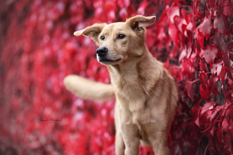 2024-10-10-Buddy-Wein-(32)-Web