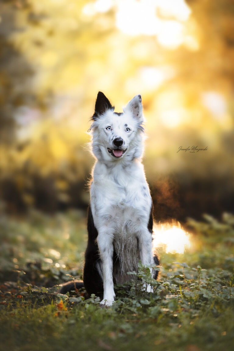 2024-10-11-Nala-Glückstadt-(29)-Web