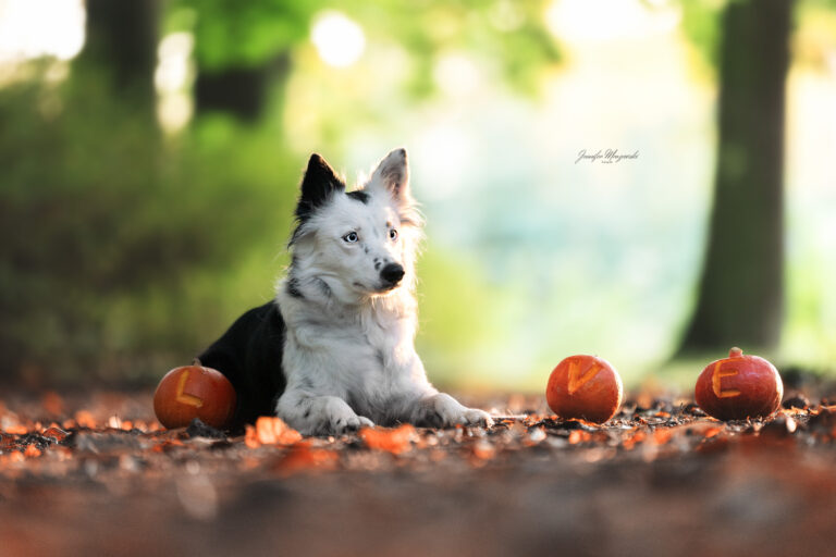 2024-10-11-Nala-Glückstadt-(46)-Web