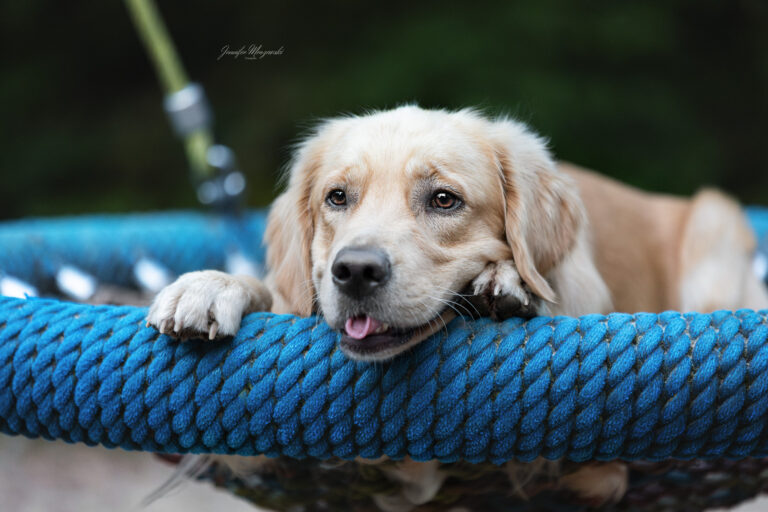 2024-10-16-Snappy-Elma-Park-(119)-Web