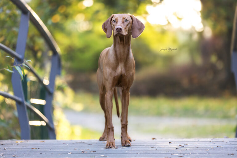 2024-10-16-Snappy-Elma-Park-(12)-Web