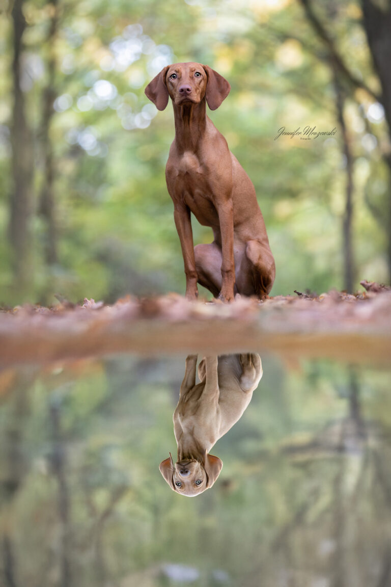 2024-10-16-Snappy-Elma-Park-(33-2)-Webjpg