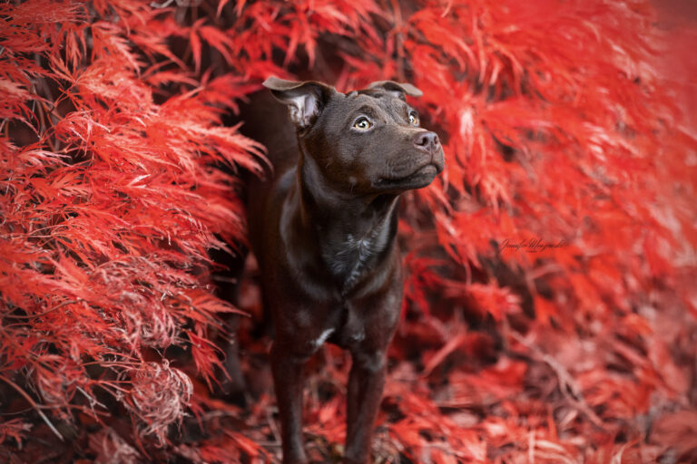 2024-10-20-Zoé-(9)-Web