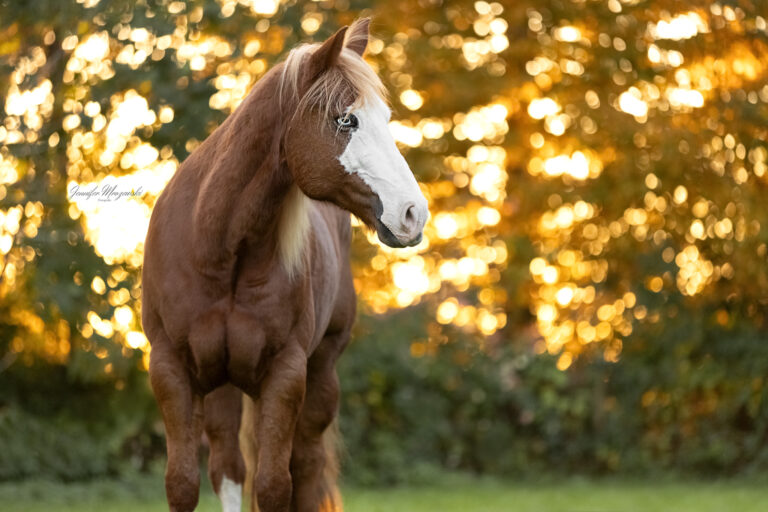 2024-10-24-Paints-Jenny-(115)-Web