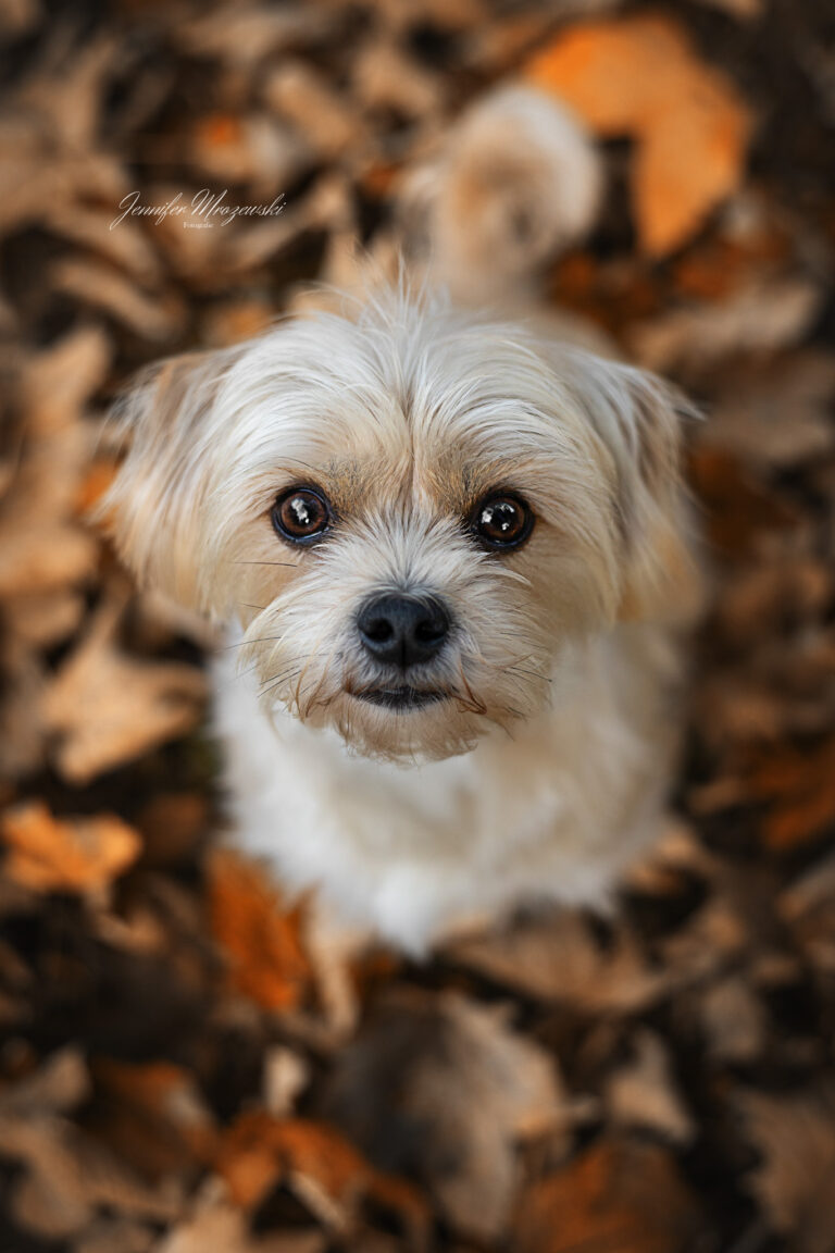 2024-10-25-Lotti-Park-(3)-Web