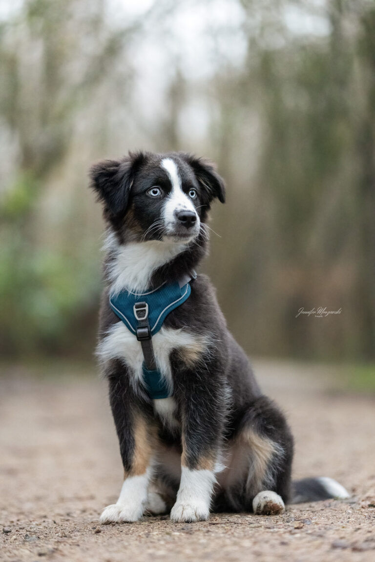 2024-12-29-Flocke-und-Koko-(10)-Web