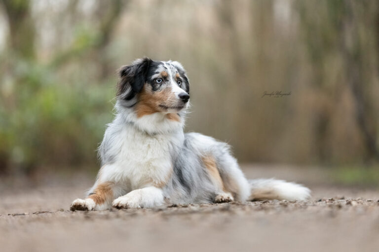 2024-12-29-Flocke-und-Koko-(35)-Web