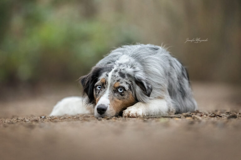 2024-12-29-Flocke-und-Koko-(38)-Web