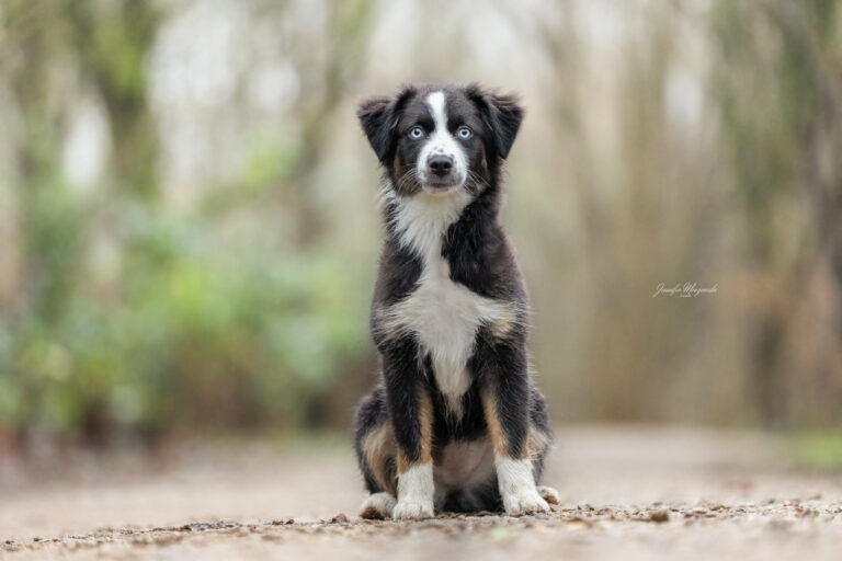 2024-12-29-Flocke-und-Koko-(47)-Web