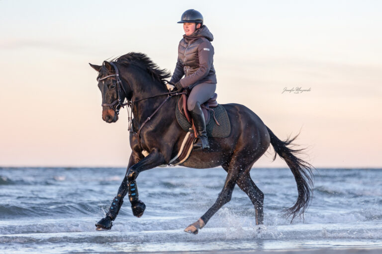 2025-01-12-Stein-Pferde-Bea-und-Mona-(75)-Web