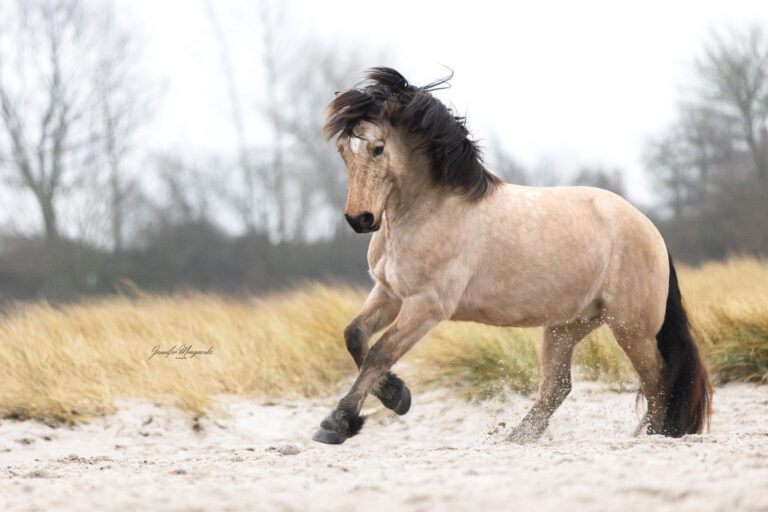 2025-01-21-Laboe-Hardy-Sirion-(255)-Web