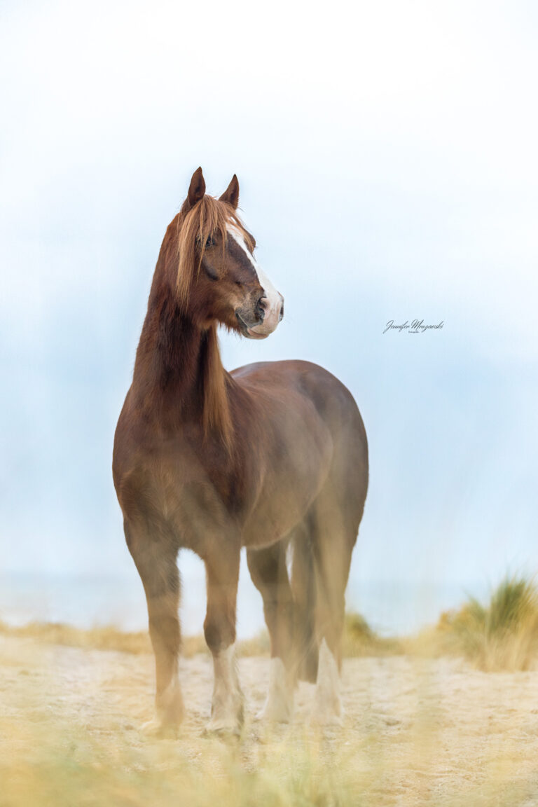 2025-01-26-Brave-Laboe-(32)-Web