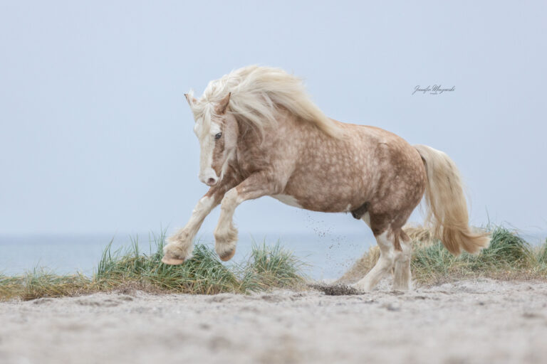 2025-01-26-Sully-Laboe-(32)-Web