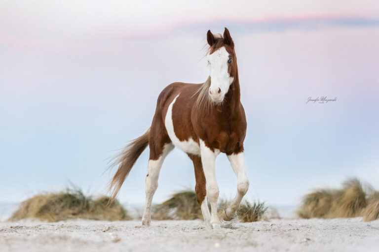 2025-02-08-Gentleman-Laboe-(14-2)-Web