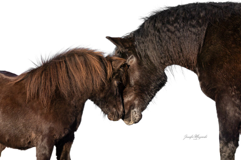 2025-03-01-Laboe-Esther-Noriker-(25-3)-Web