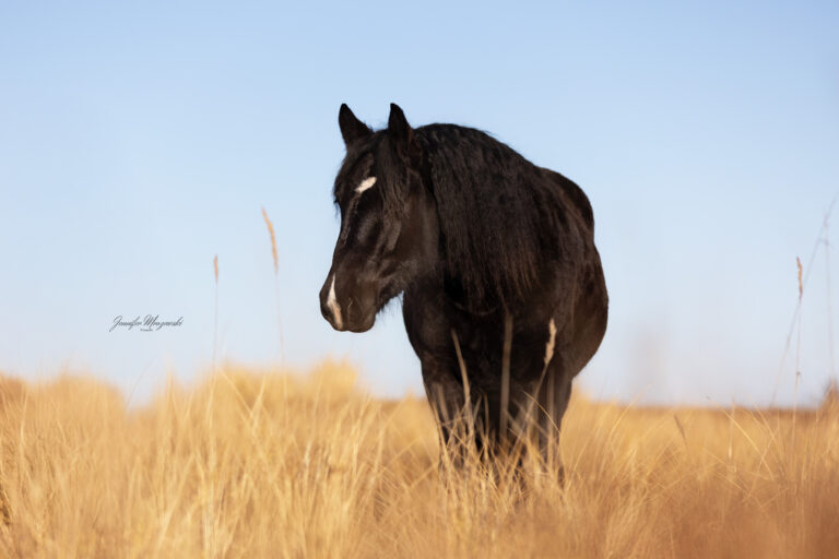 2025-03-01-Laboe-Esther-Noriker-(7)-Web