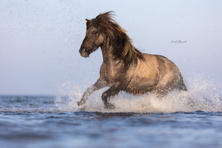 2025-03-08-Portfoliotag-Laboe-Halli-(101)-Web