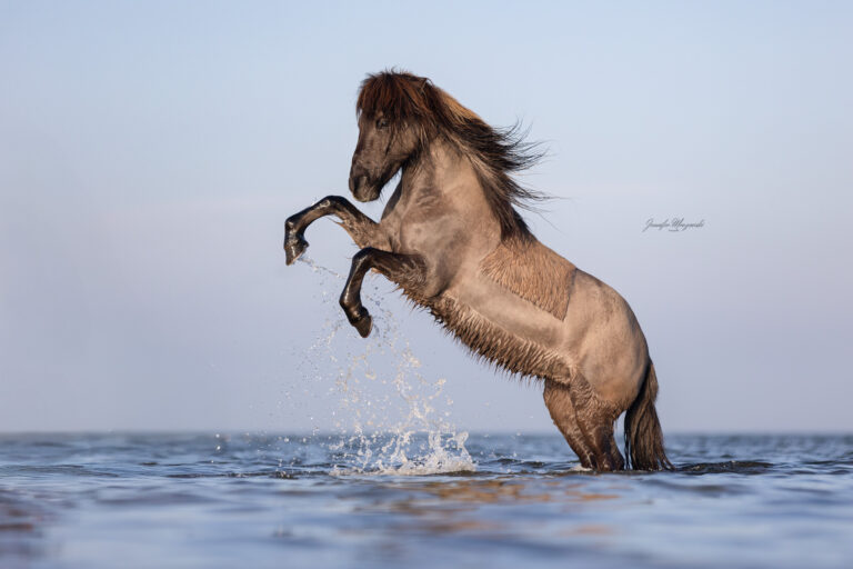 2025-03-08-Portfoliotag-Laboe-Halli-(148)-Web