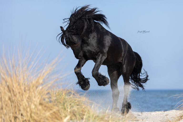 2025-03-08-Portfoliotag-Laboe-Jana-Thumann-(106)-Web