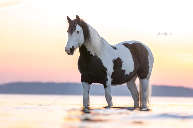 2025-03-08-Portfoliotag-Laboe-Maya-und-Amy-(151)-Web