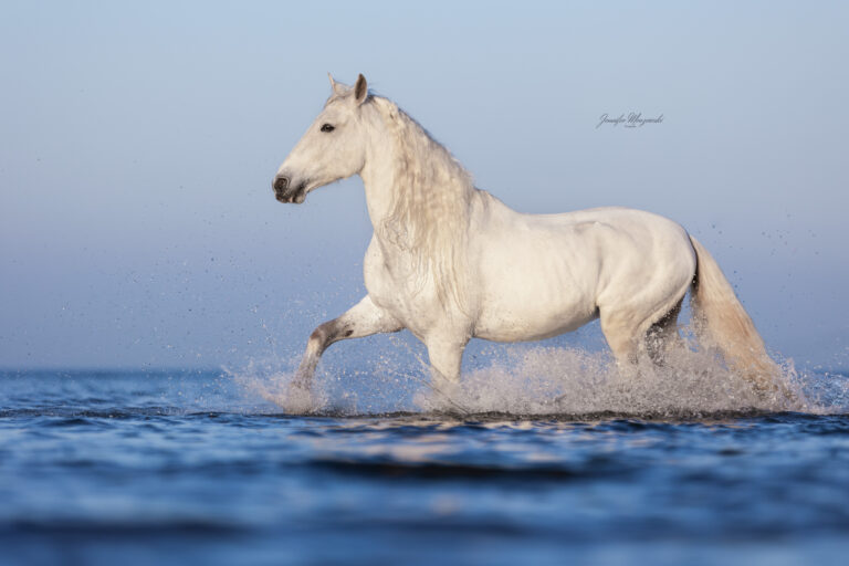 2025-03-08-Portfoliotag-Laboe-Sea-Sommer-(32)-Web