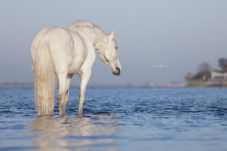 2025-03-08-Portfoliotag-Laboe-Sea-Sommer-(51)-Web