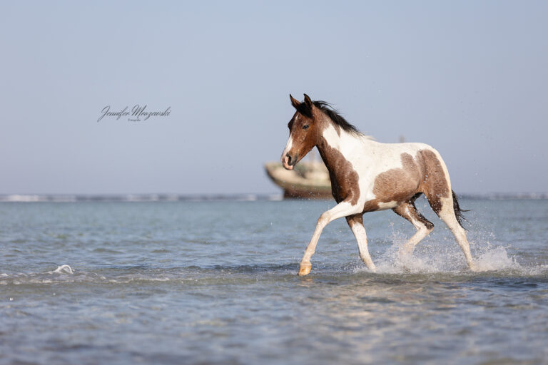 2025-02-19-Pilotstable-(49)-Web