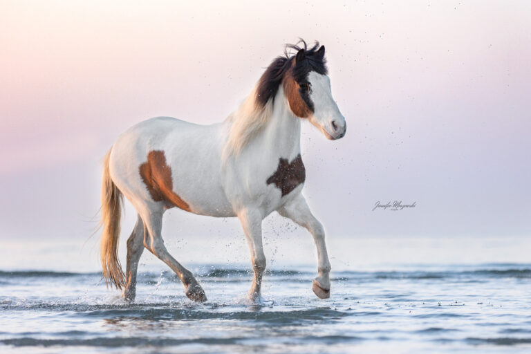 2025-03-18-Joshi-Stein-(74)-Web