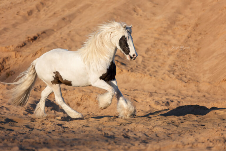 2025-03-29-Kieskuhle-Nancy-Manolo-(16)-Web