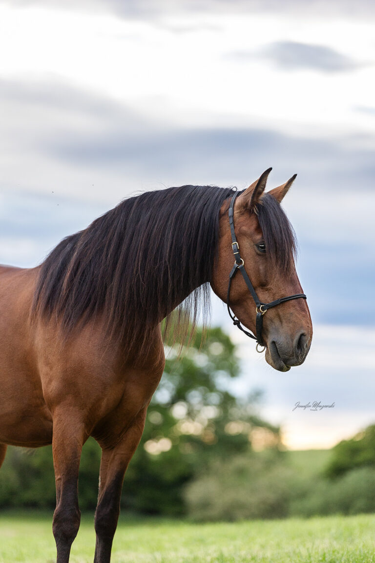 2025-05-18-Ponypraline-(53)-Web