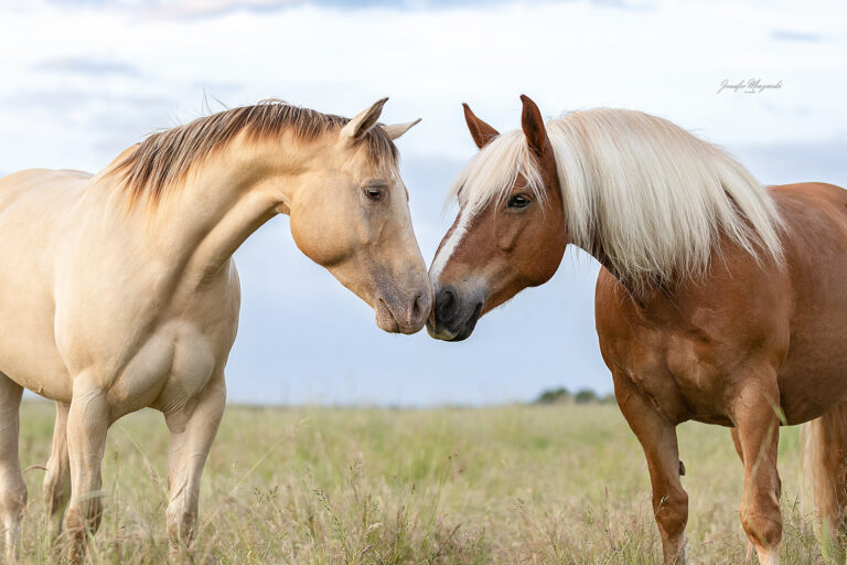 2025-05-26-Bella-und-Lilo-(120-3)-Web