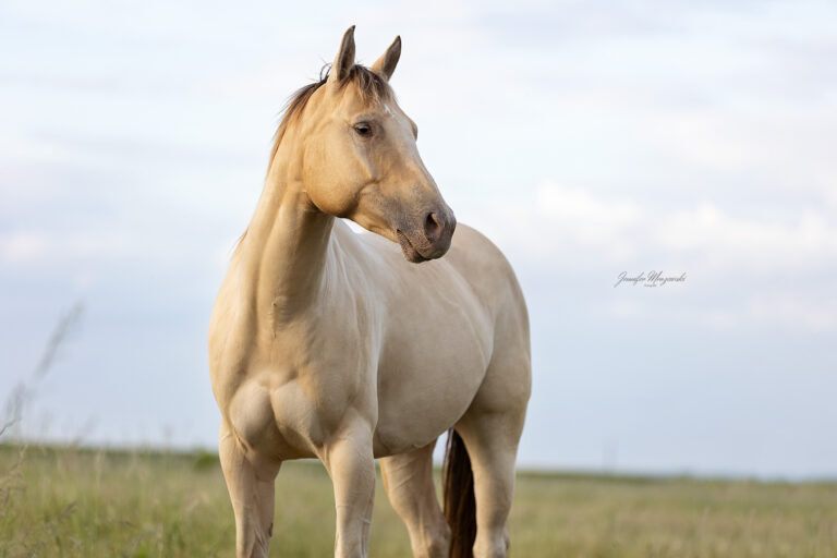 2025-05-26-Bella-und-Lilo-(46)-Web