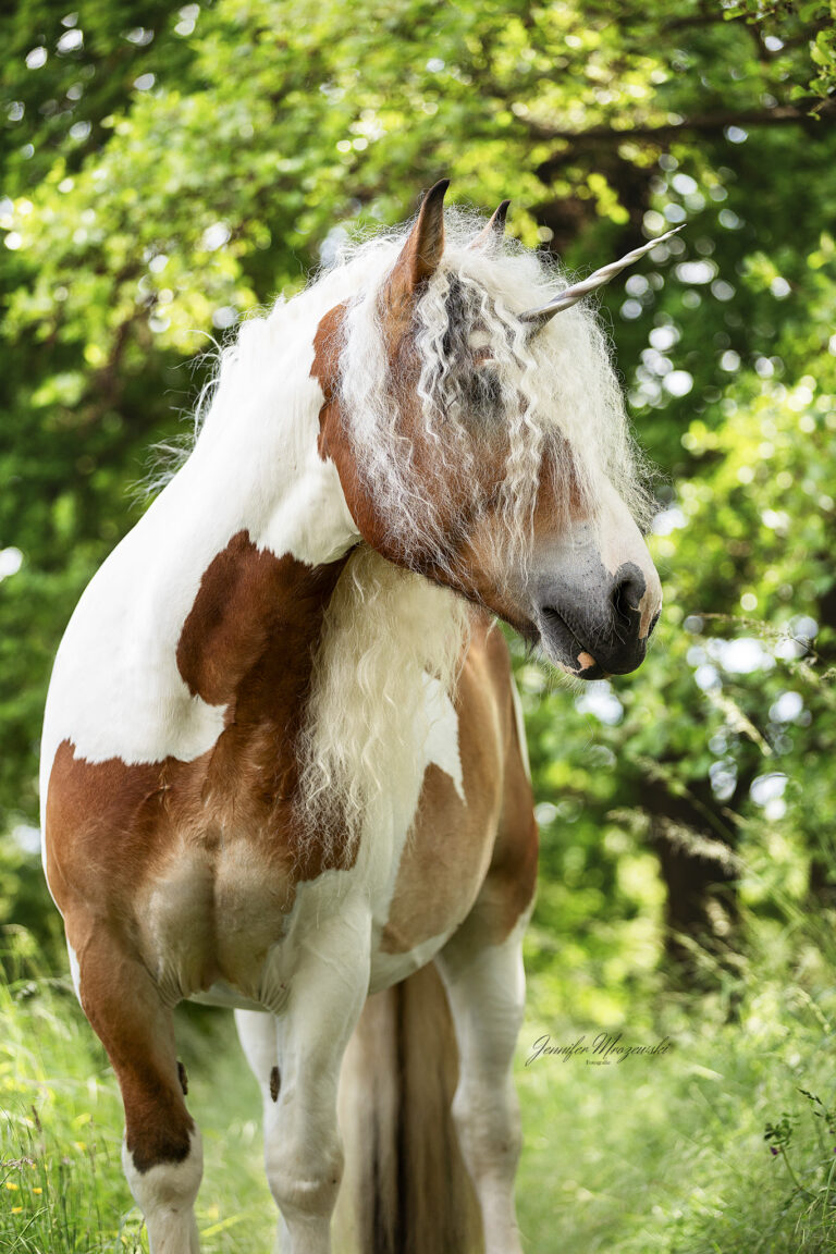 2025-05-26-Lydian-(20)-Web