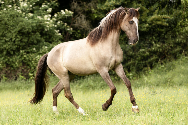 2025-05-26-Sarah-und-Navi-(51)-Web