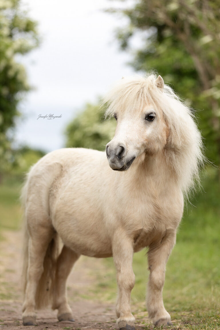 2025-05-27-Schutzhof-Köln-(32)-Web